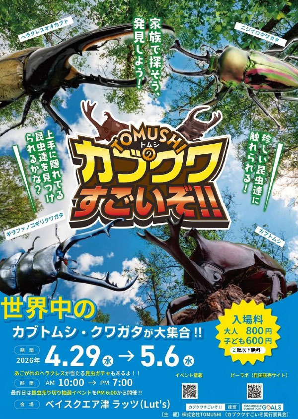 カブクワすごいぞ‼