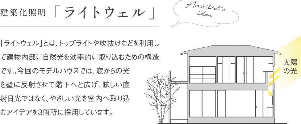 建築照明化「ライトウェル」
