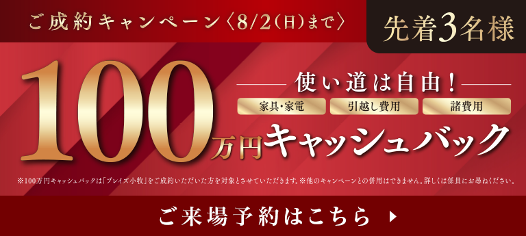 ご成約キャンペーン 100万円キャッシュバック