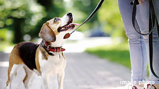 マルチ水栓スペース