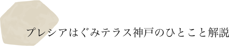 プレシアはぐみテラス神戸のひとこと解説