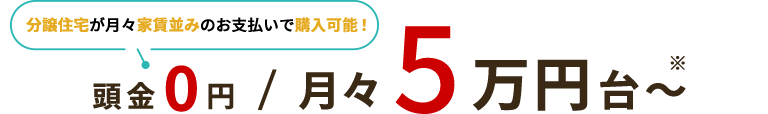 月々家賃並みのお支払いで購入可能！頭金０円　月々5万円台～※