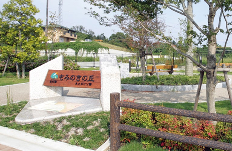 もみの木の丘