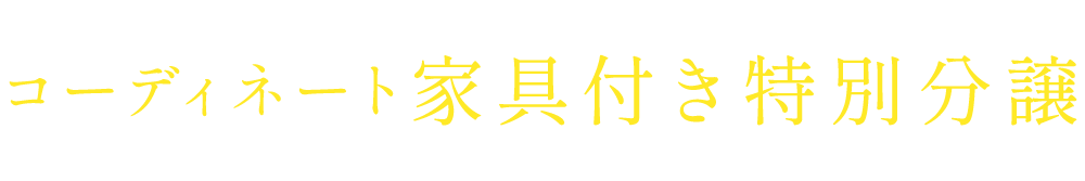 コーディネート家具対特別分譲