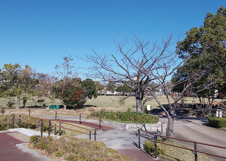 江島総合スポーツ公園